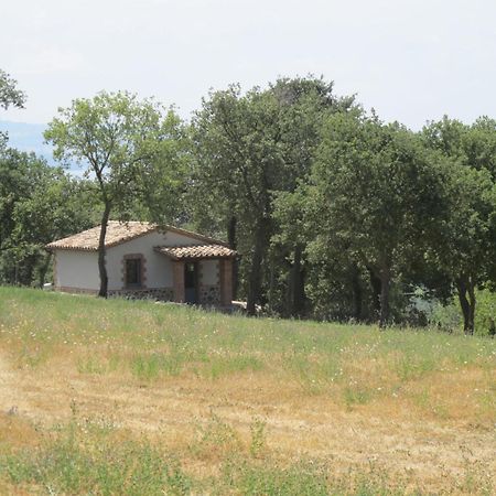 Holiday Home Il Podere Del Lago By Interhome Bolsena Buitenkant foto