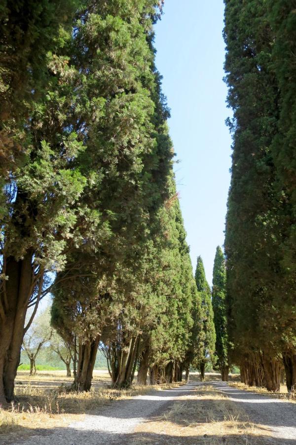 Holiday Home Il Podere Del Lago By Interhome Bolsena Buitenkant foto